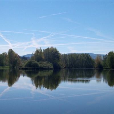 大发dafa888下载手机版