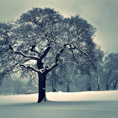 manbetx官网在线登录